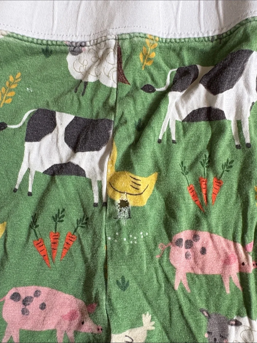Little Sleepies green bamboo Farm Animals print, 2 piece pajama set. Size 9/10